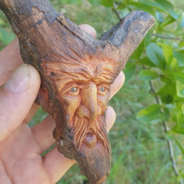 Secret des bois